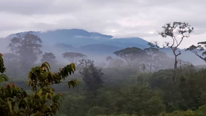 DE TSINI KISHA A TSIOBATA