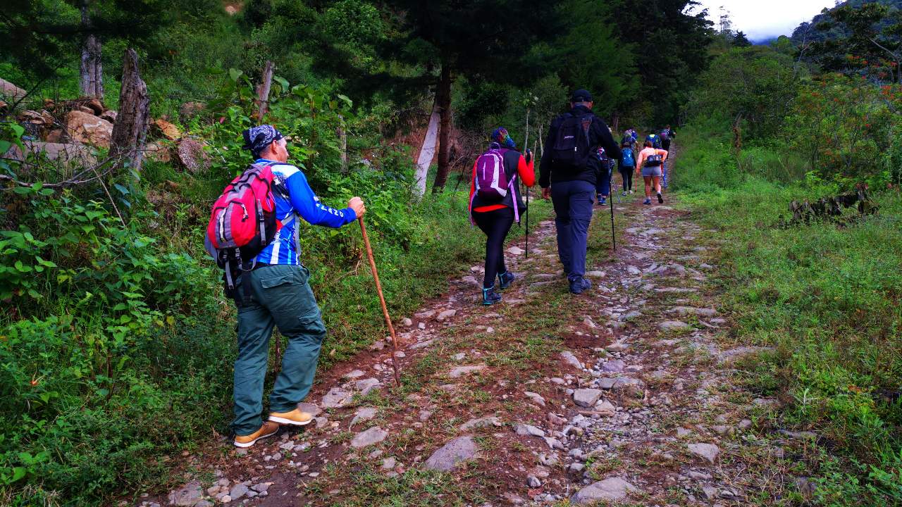 Hiking a la Sabana de los Leones