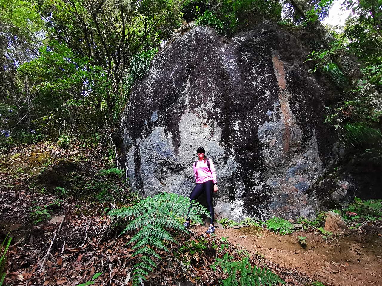 Hiking a la Sabana de los Leones