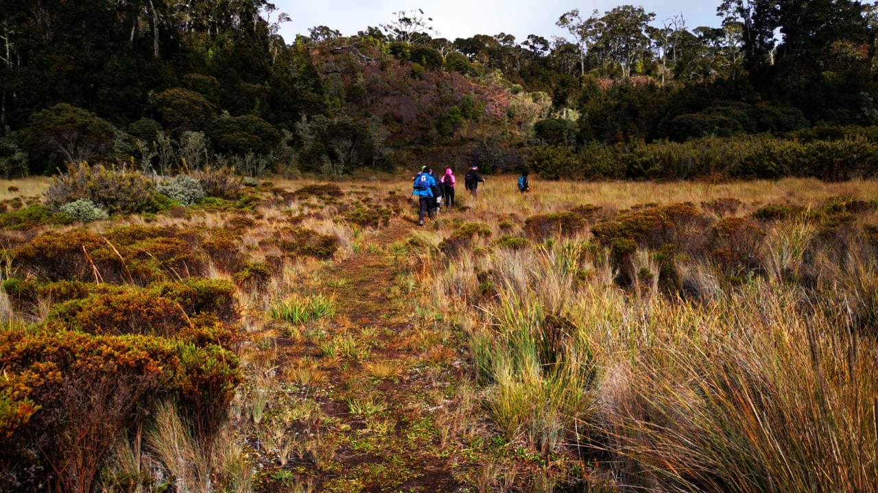 Hiking a la Sabana de los Leones