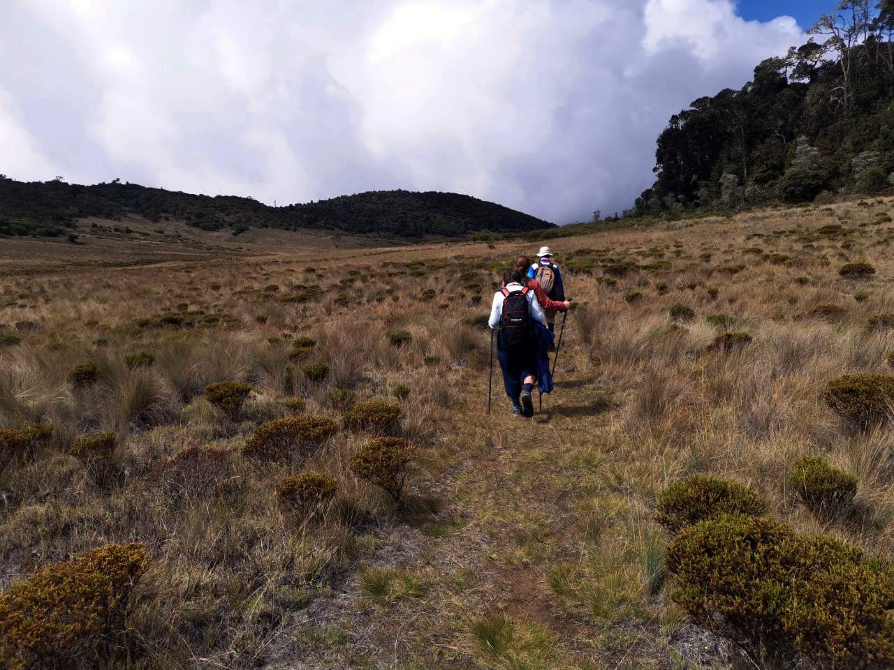 Hiking a la Sabana de los Leones