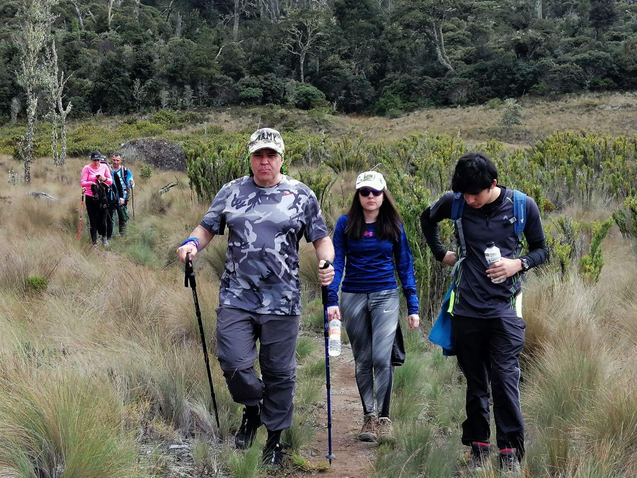 Caminata a la Sabana de los Leones en el Parque Nacional de Chirripó con Ticos A Pata, Hiking, Trekking, Senderismo, Caminatas