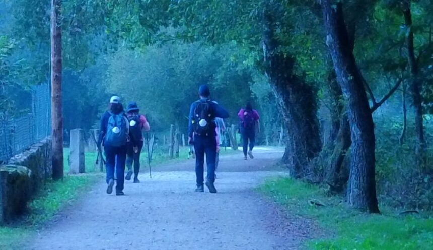 Camino de Compostela