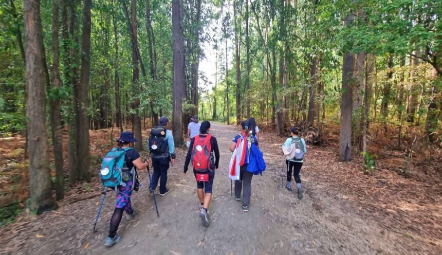 Camino de Compostela