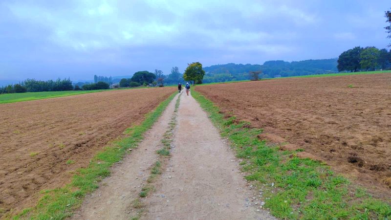 Camino de Compostela