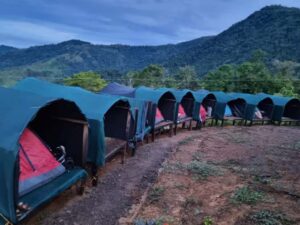 Campamento de Napoles a Villanueva