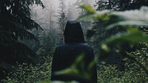 Cerro Dragón Cerro Dragón