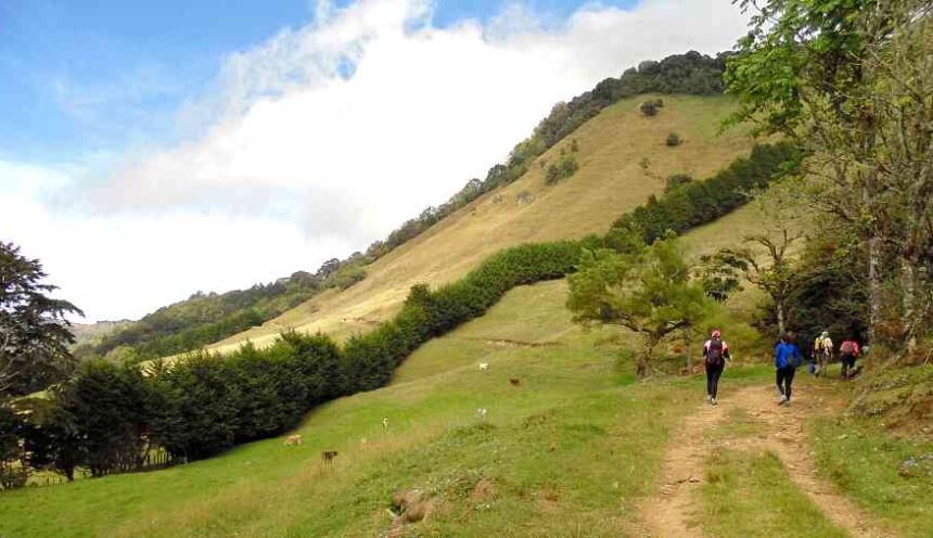 Cerro Dragón