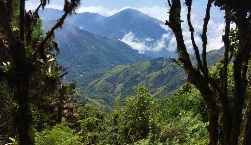 Cerro Dragón