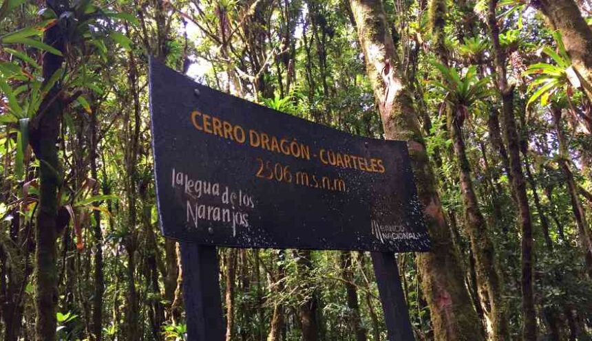 Cerro Dragón
