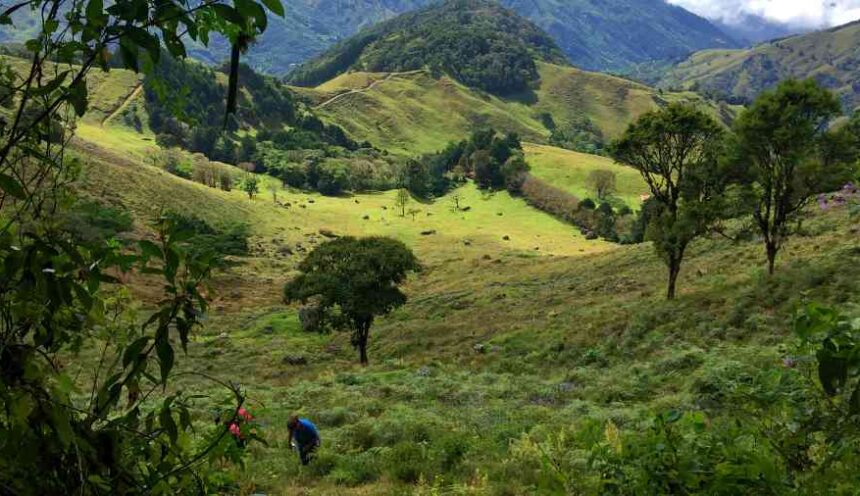 Cerro Dragón