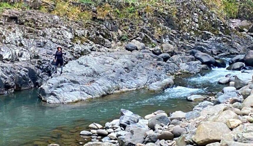 Columnas Basálticas