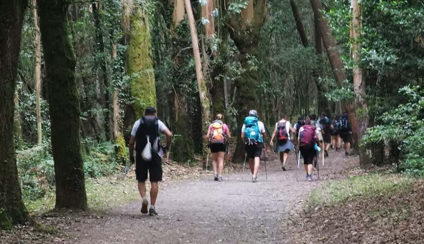 El camino de Compostela