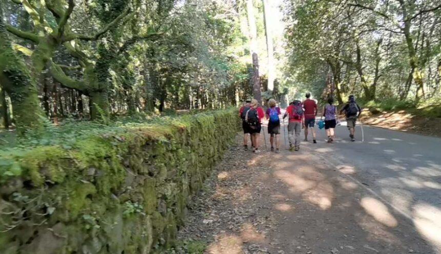 El camino de Compostela