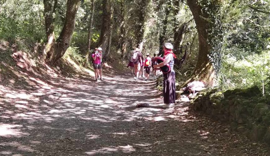 El camino de Compostela