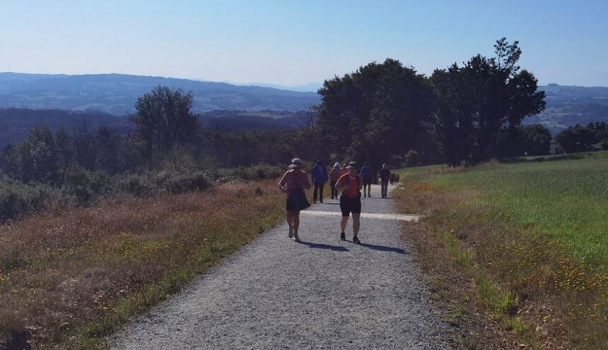 El camino de Compostela