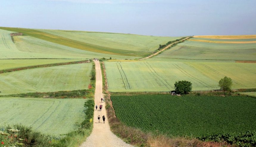 El camino de Compostela