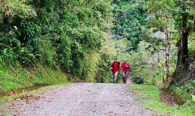 Tapantí