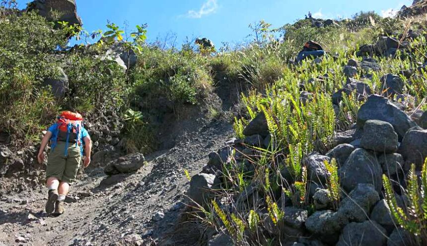 Expedición a el Salvador
