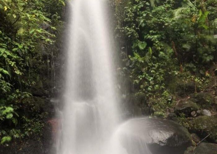 Catarata Finca Dos Ríos