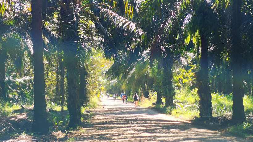 De Villa Nueva a Quepos