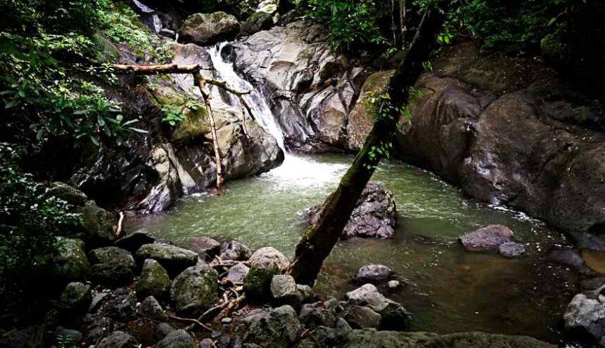 Las Minas del Aguacate