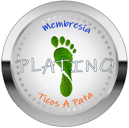 TAP Platino