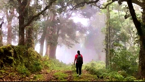 Del Roble A Sacramento