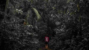 DE NAVARRO A PALO VERDE 