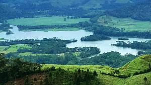 DE PACAYITAS A LA SUIZA