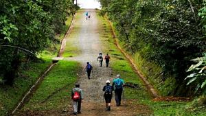 DE PURISIL A NAVARRO 