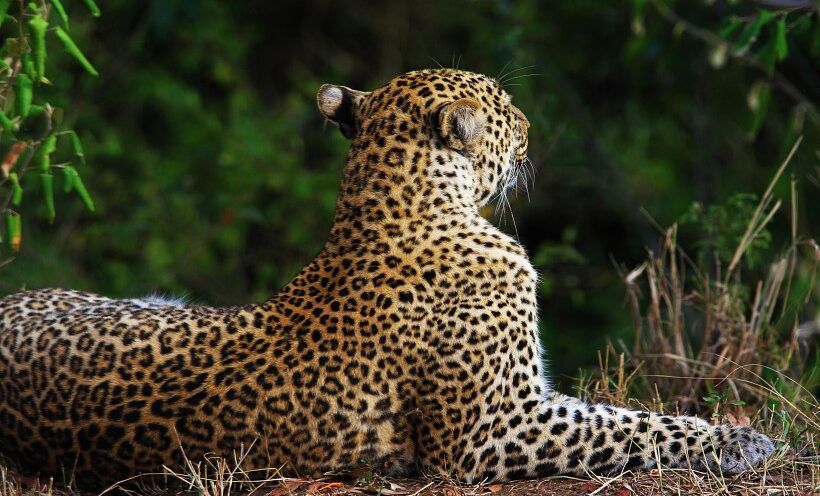 El camino de Costa Rica