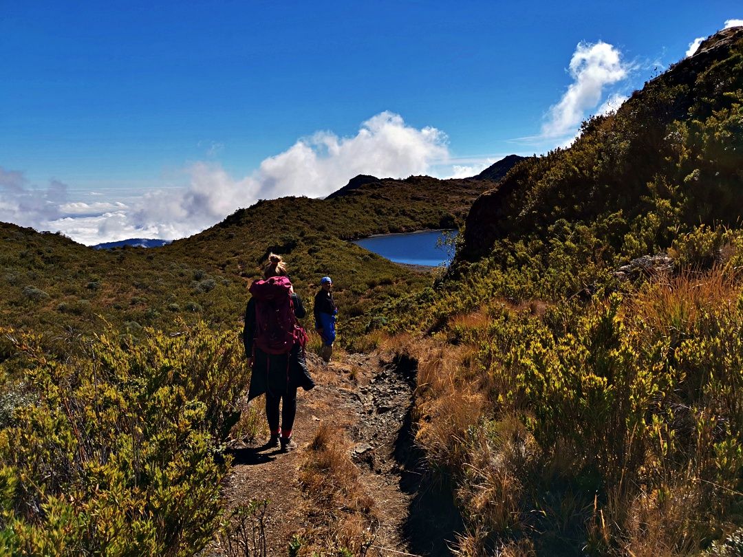 Trekking VIP al Parque Nacional Chirripó