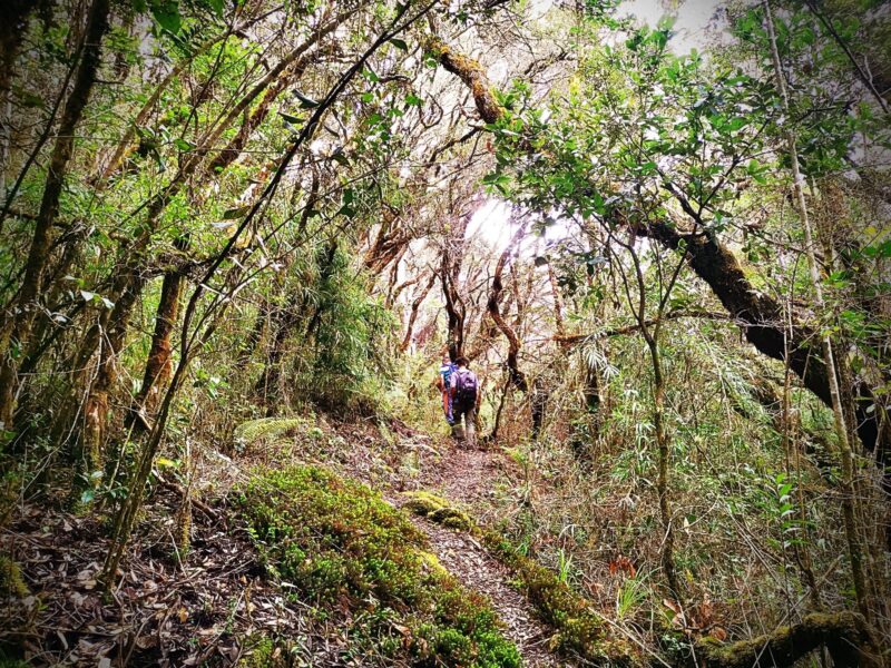 Caminata a los Tres Pastorcillos