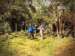 Las mejores rutas de senderismo en Costa Rica