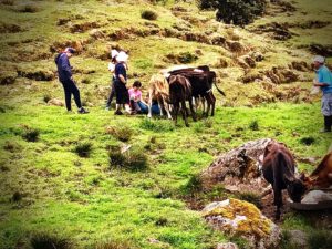 Ticos A Pata Hiking Trekking Senderismo Caminatas