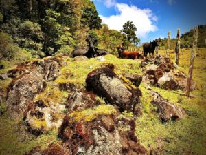 Las mejores rutas de senderismo en Costa Rica