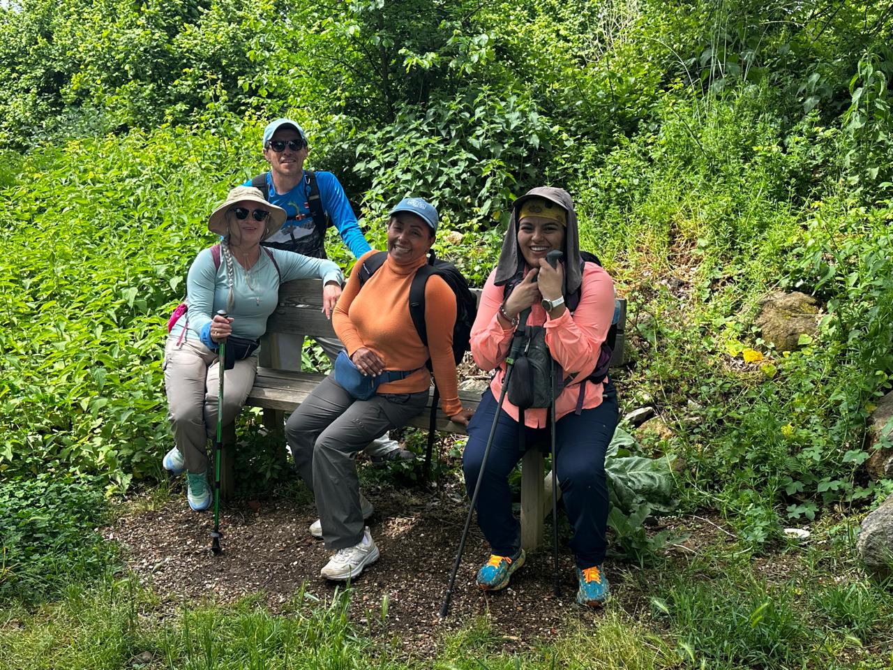 Via Francigina