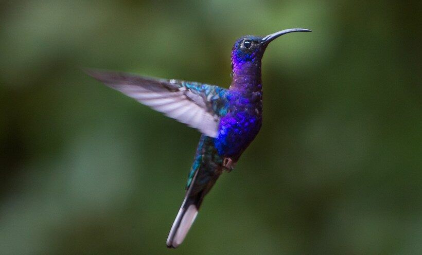 El camino de Costa Rica